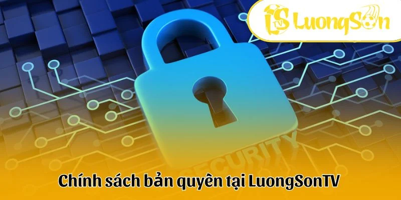 Những điều cần nắm rõ trong chính sách bản quyền LuongSon